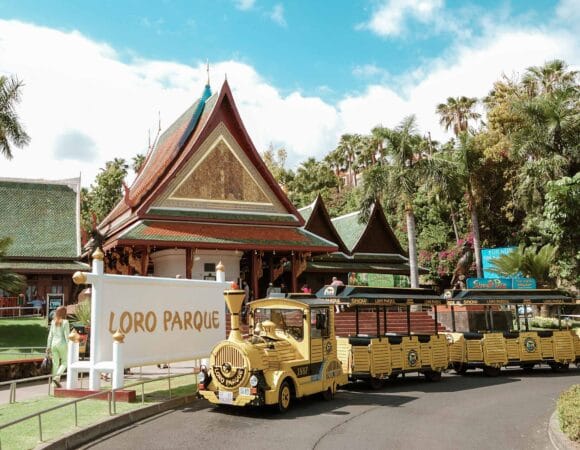 Loro Parque: A World of Animals and Fun in Tenerife