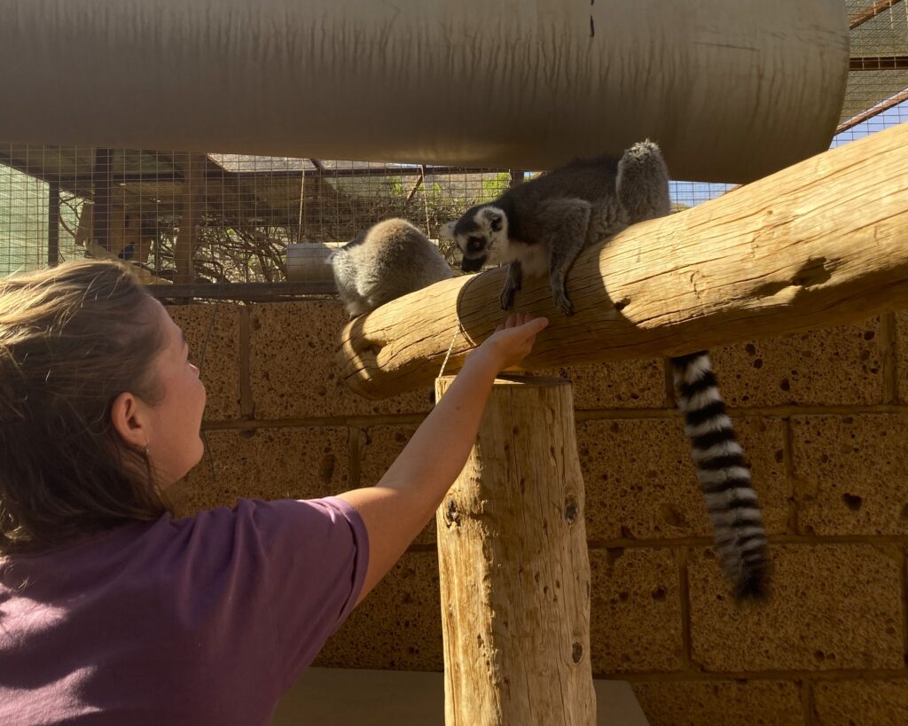 monkey park tenerife