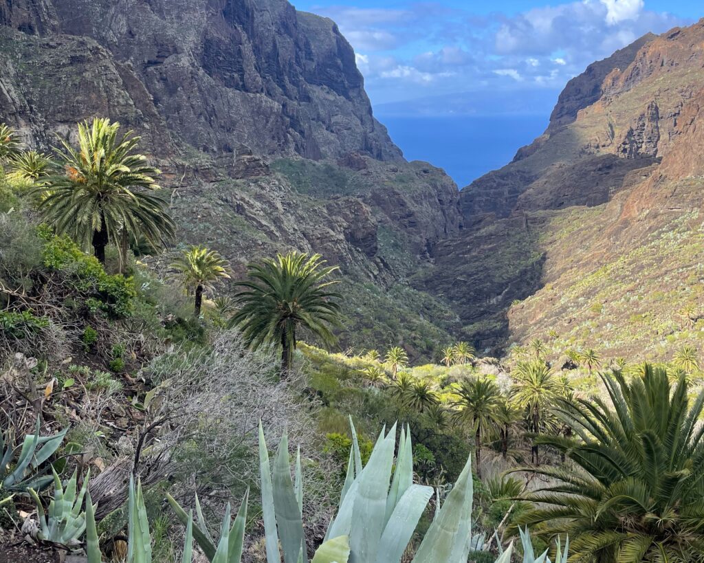 Masca Valley, Tenerife