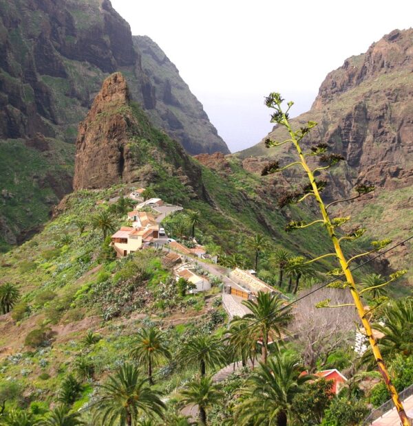 Masca Valley: How to Do Masca Gorge Hike and What to See in the Village
