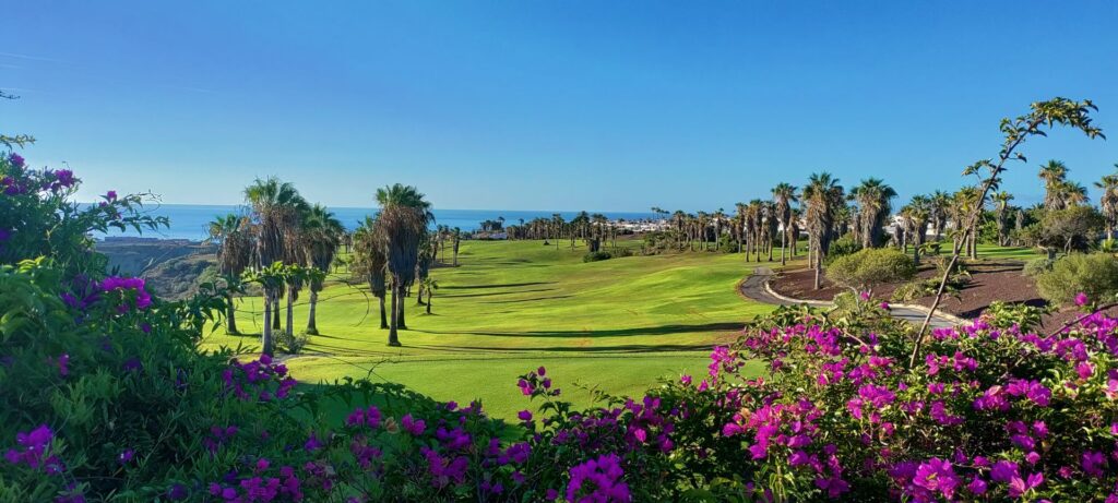 golfové hřiště v golf de sur
